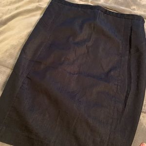 Express Pencil Skirt